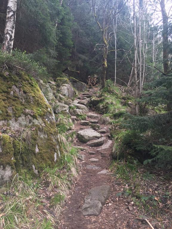 Blockhaus An Der Skiwiese Braunlage Eksteriør bilde