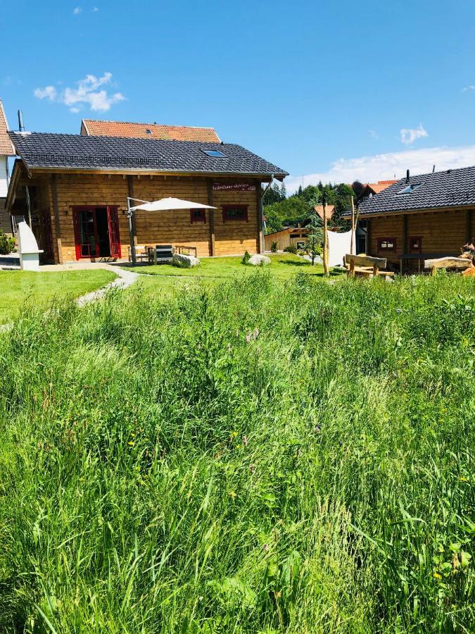Blockhaus An Der Skiwiese Braunlage Eksteriør bilde